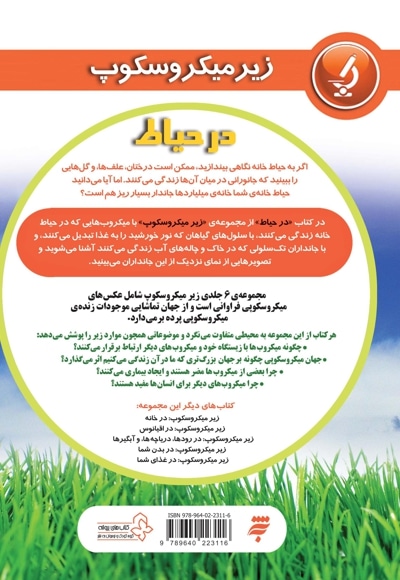 در حیاط